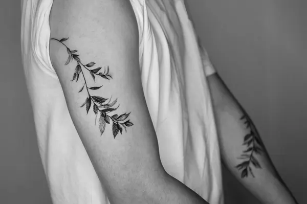 잎, Flower, Rose