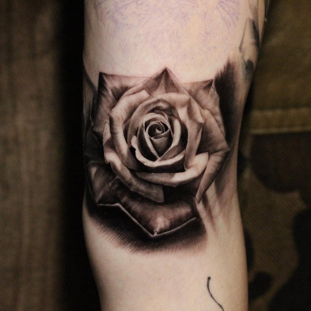 Flower, Rose