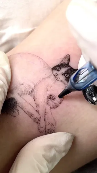 쥐, 여우, 너구리, Animal
