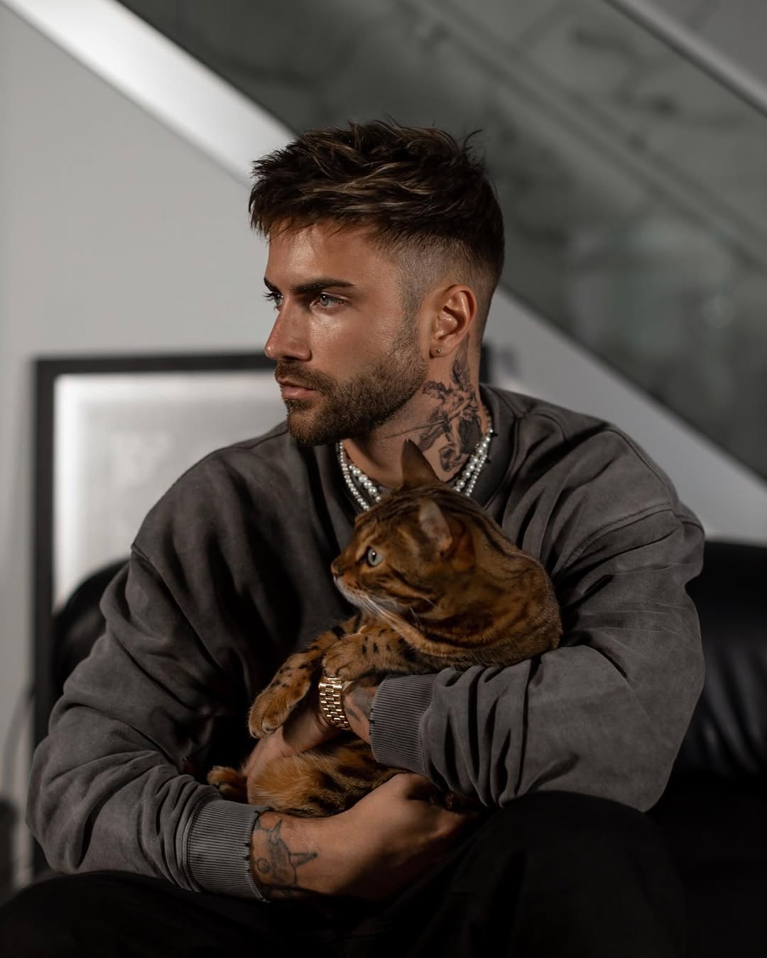 Animal