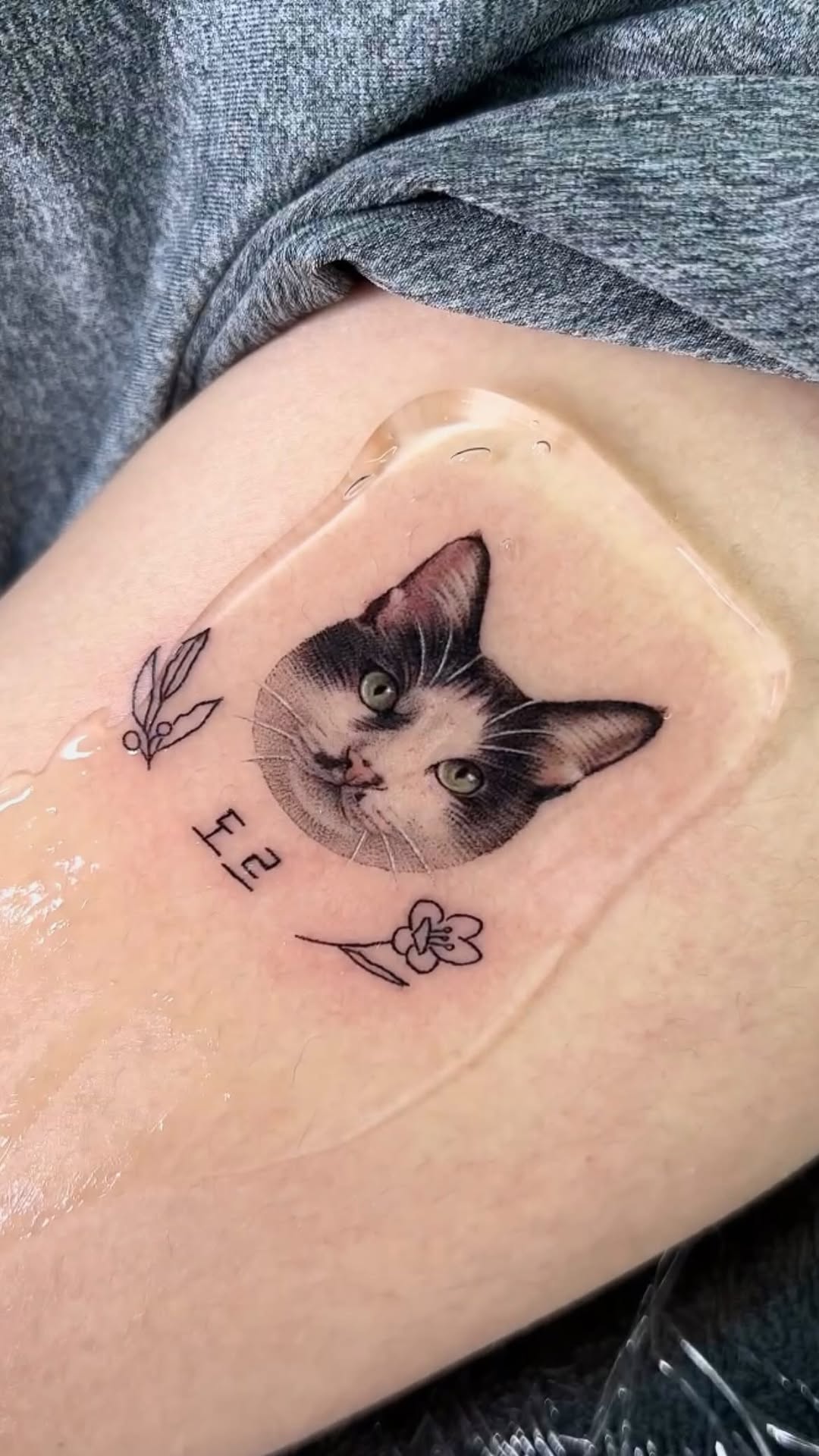 고양이