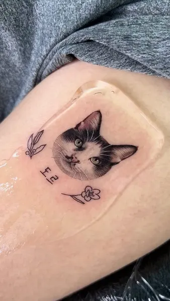 고양이