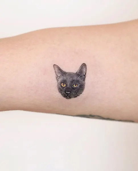 고양이