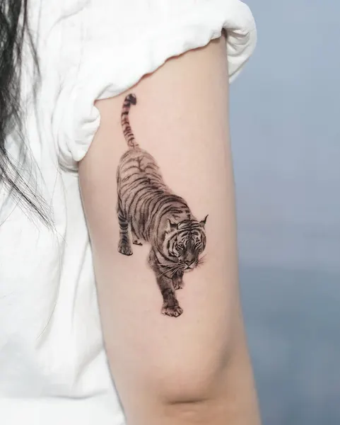 Tiger