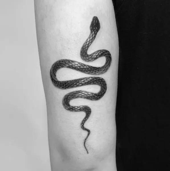 지네, Snake
