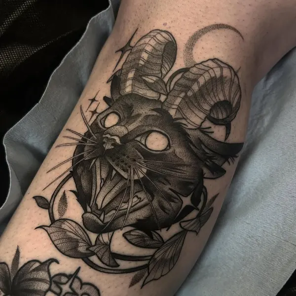 Animal, Tiger