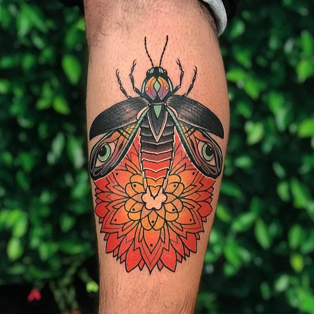 Animal, Nature