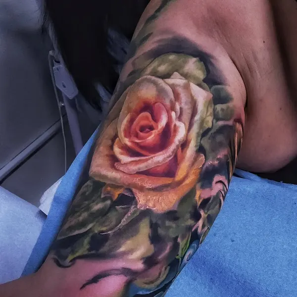Flower, Rose