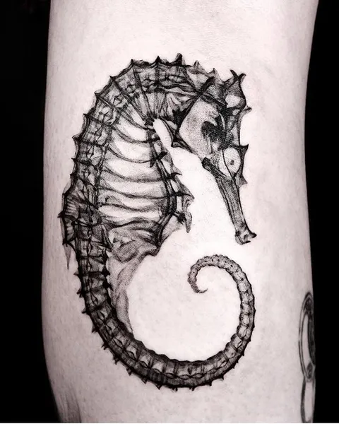 Dragon, 악어, 잉어, 도마뱀