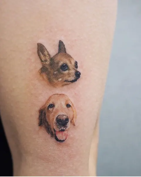 Animal, 반려동물 추모
