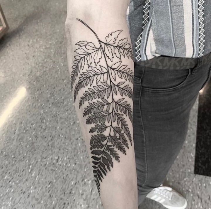 잎, 깃털, 고사리, 단풍잎, 야자수, 은행잎, Nature