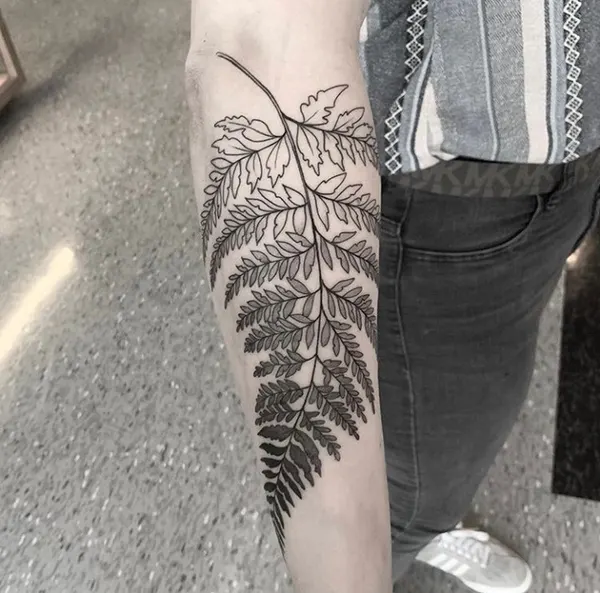 잎, 깃털, 고사리, 단풍잎, 야자수, 은행잎, Nature