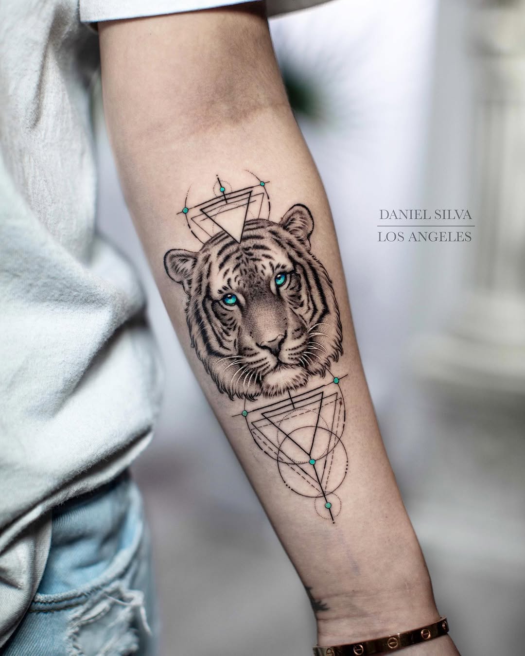 Tiger, 치타, 사자자리, 중국 호랑이, 한국 호랑이, 일본 호랑이