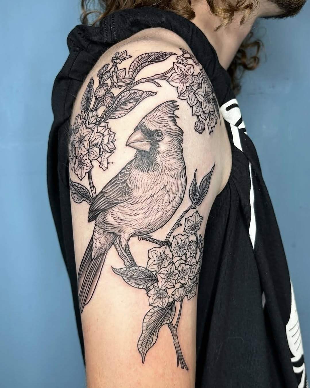 Flower, Animal, Nature