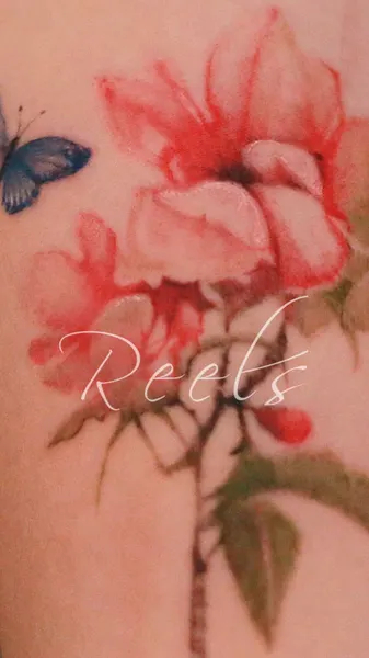 Flower, Rose