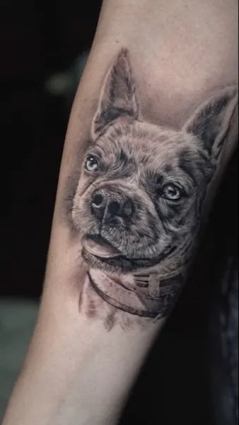 Animal