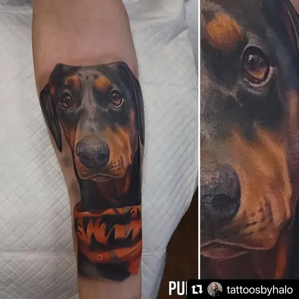 Animal