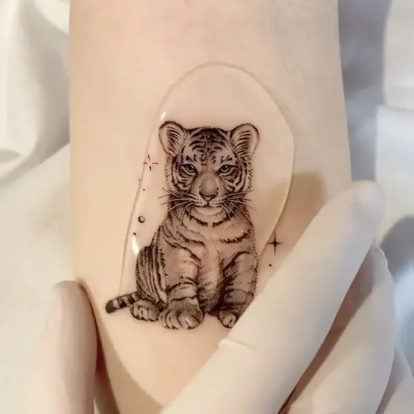 Tiger, 치타, 팬서, 코알라, 재규어, Animal