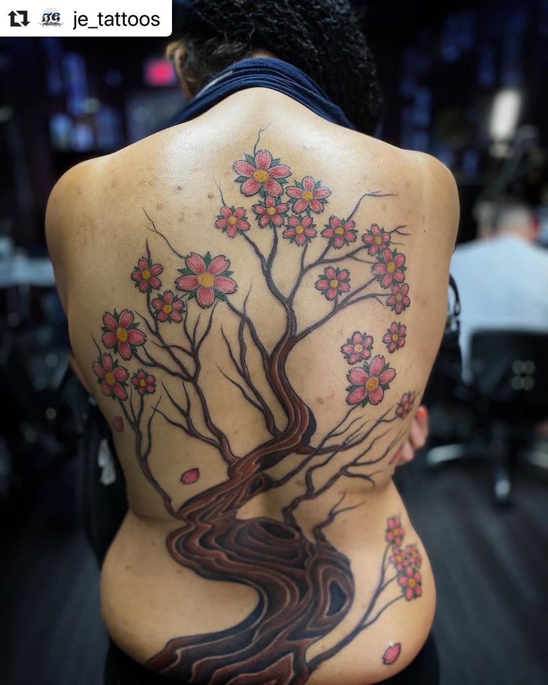 Nature, Flower, 목련, 벚꽃, 뿌리, 매화, 대나무, 일본 단풍, 히비스커스