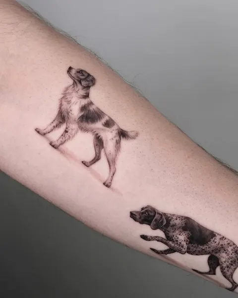 Animal
