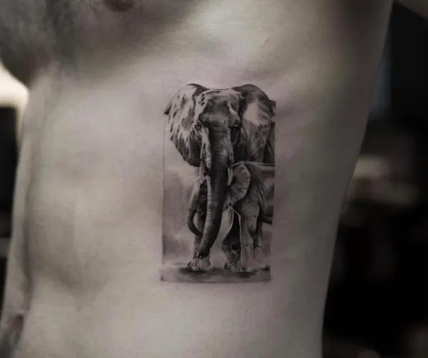 Flower, 코끼리, 다루마