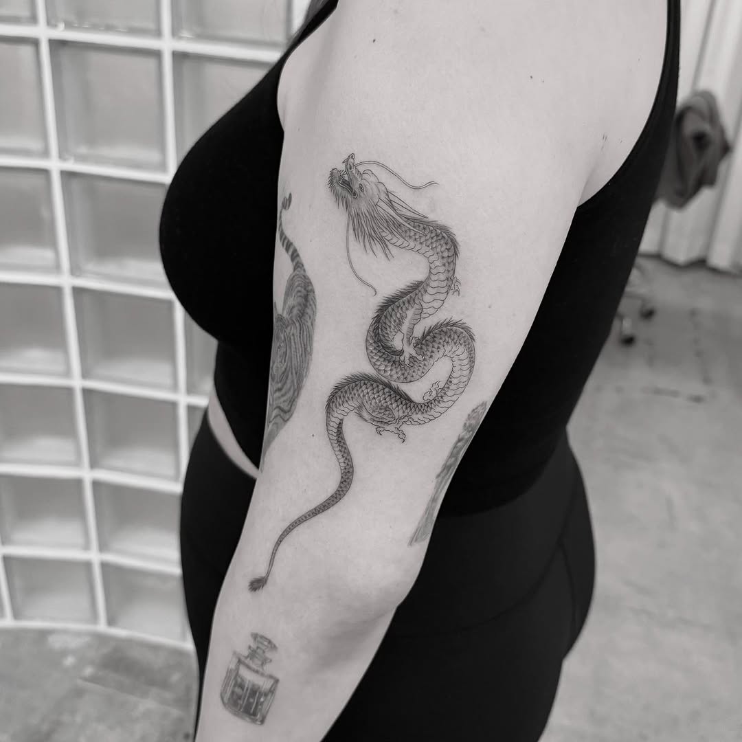 Dragon, Snake