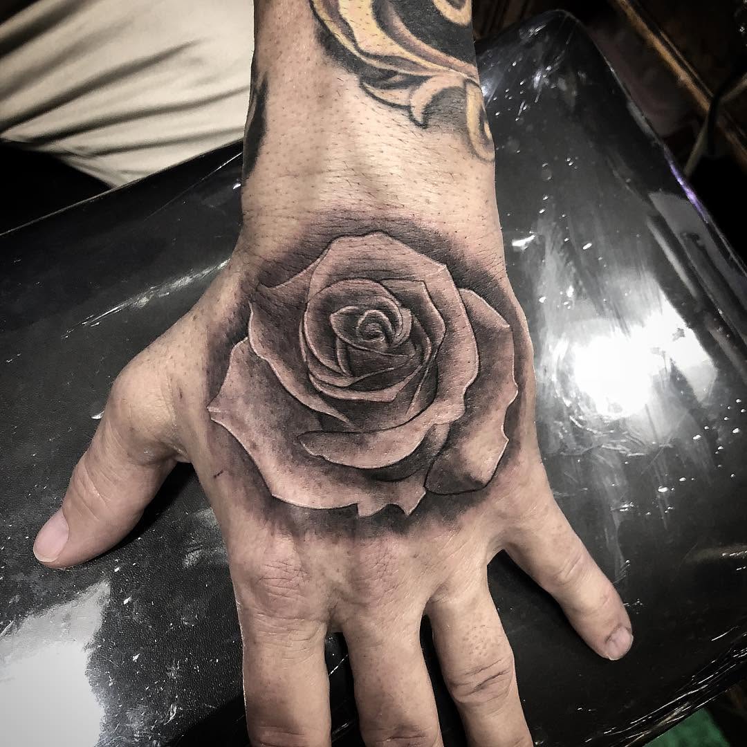 Flower, Rose