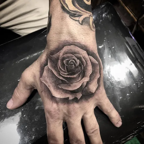 Flower, Rose