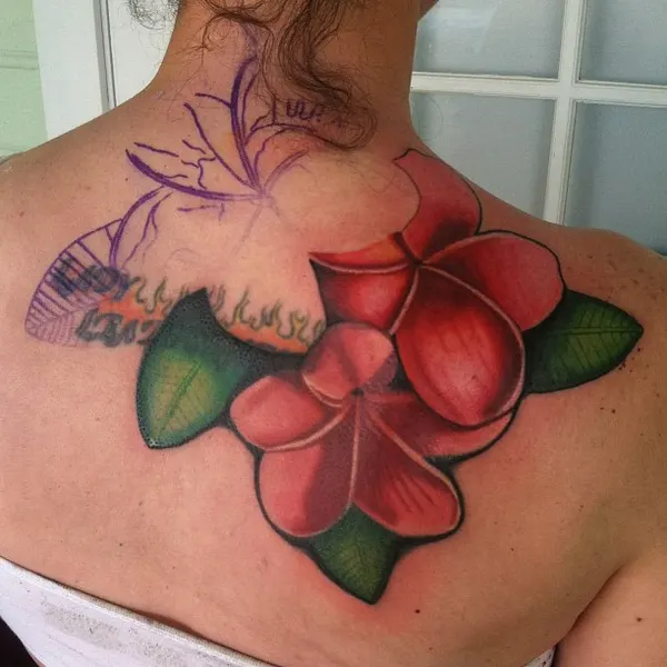 Flower, Nature, 매화, 탄생화, 히비스커스