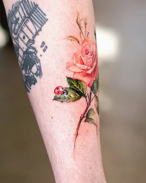 Rose, Flower