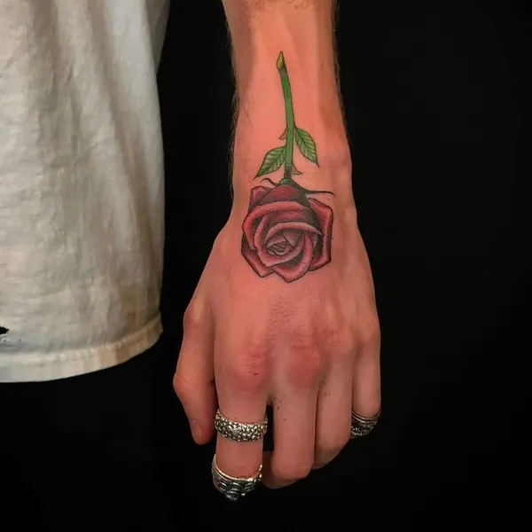 Flower, Rose