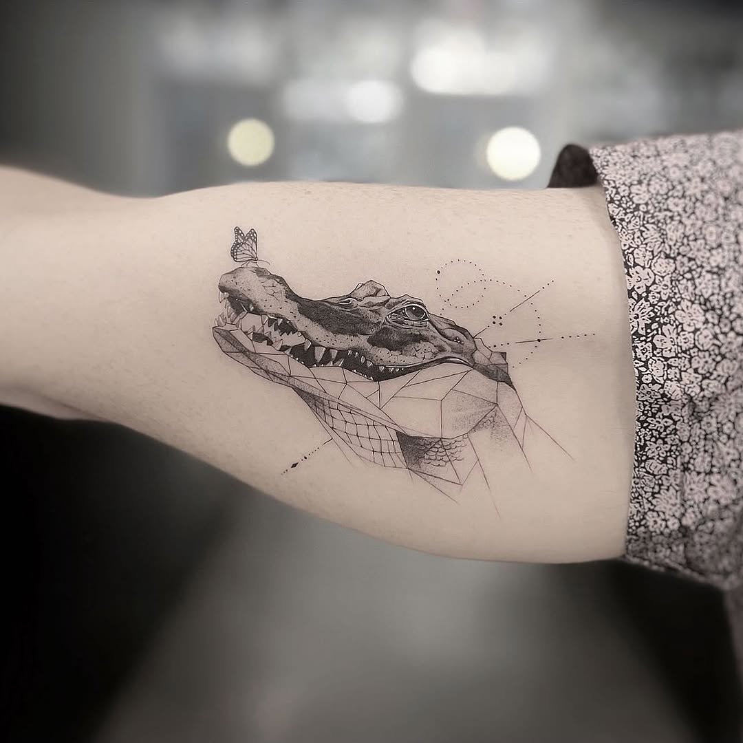 Dragon, 악어, 거북이, 물고기, 바다거북, 조개껍데기, 잉어, 개구리
