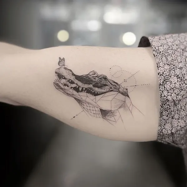 Dragon, 악어, 거북이, 물고기, 바다거북, 조개껍데기, 잉어, 개구리