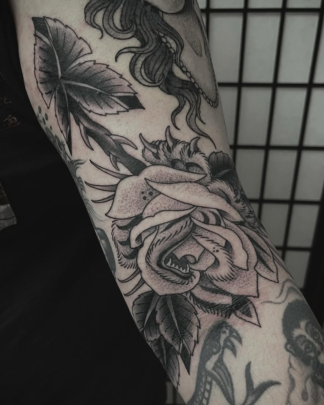 Flower, Rose