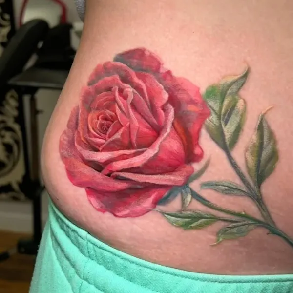 Flower, Rose