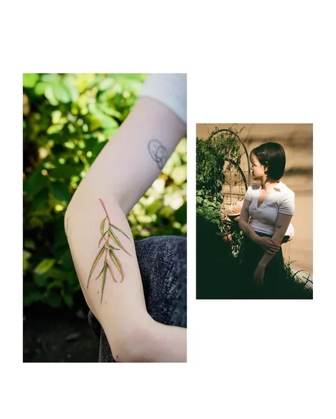 Flower, 단풍잎, 대나무, 잎, 풀