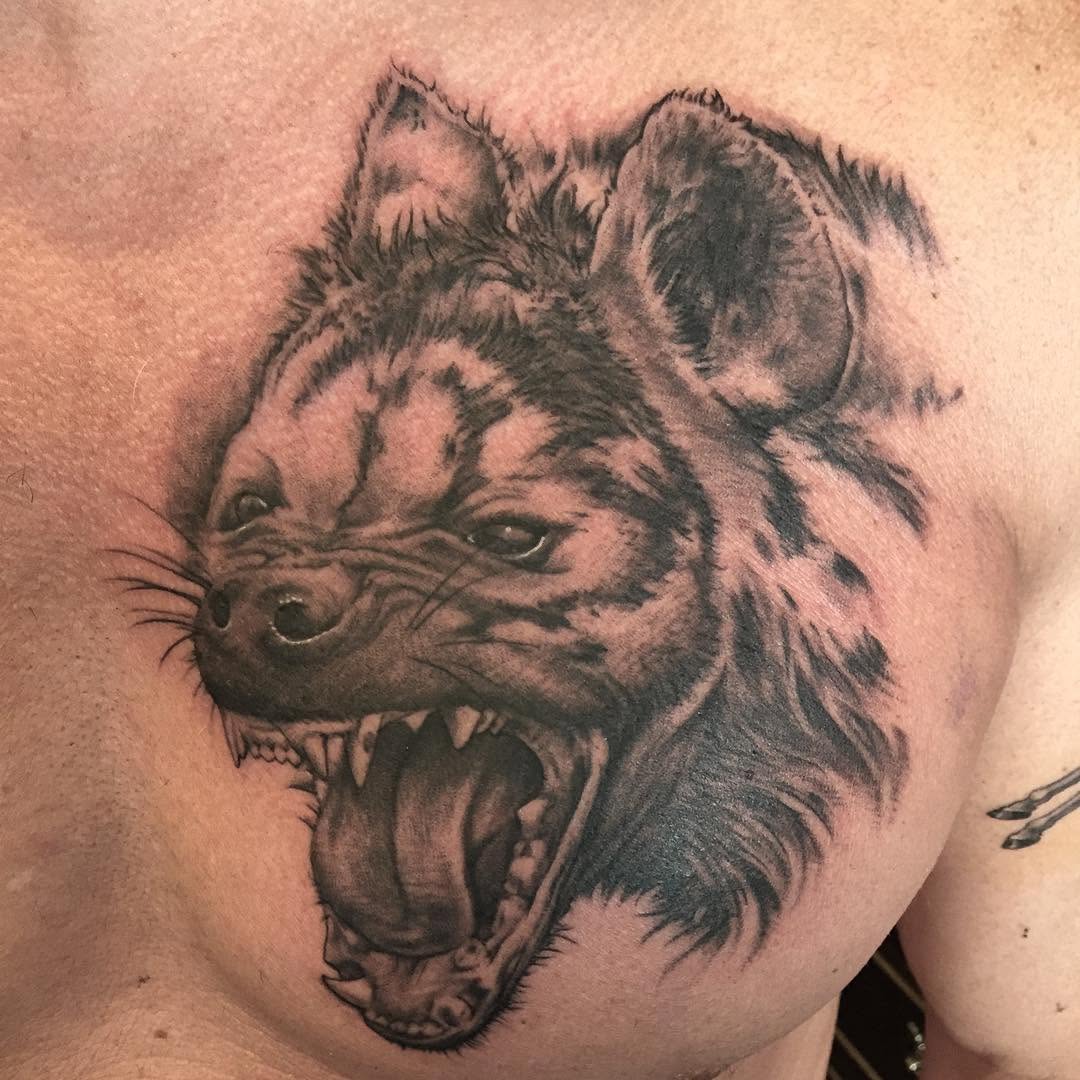 Tiger, Animal