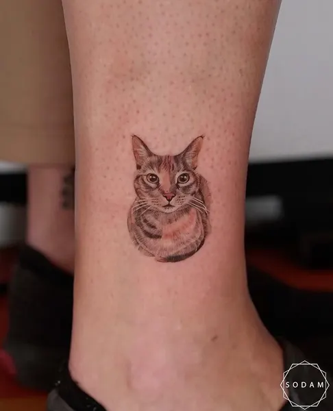 Animal, 사슴