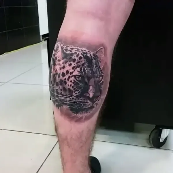 Animal, 표범