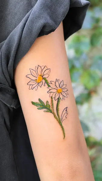 Flower, 해바라기, 데이지