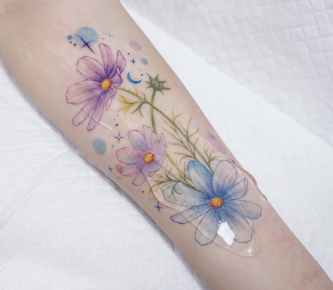 Flower, Nature, 데이지