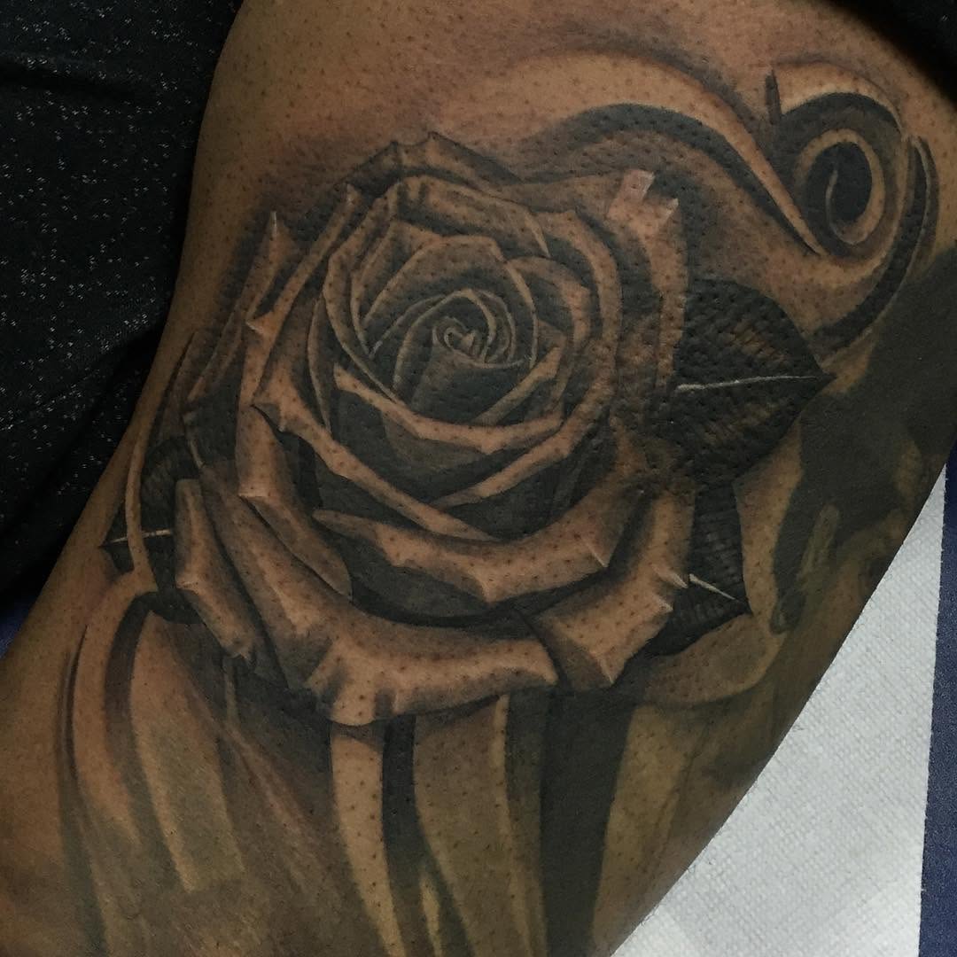 Flower, Rose, Nature