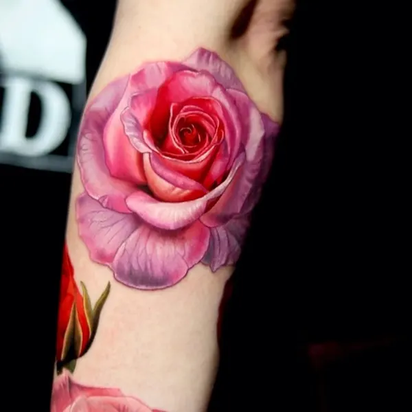 Flower, Rose