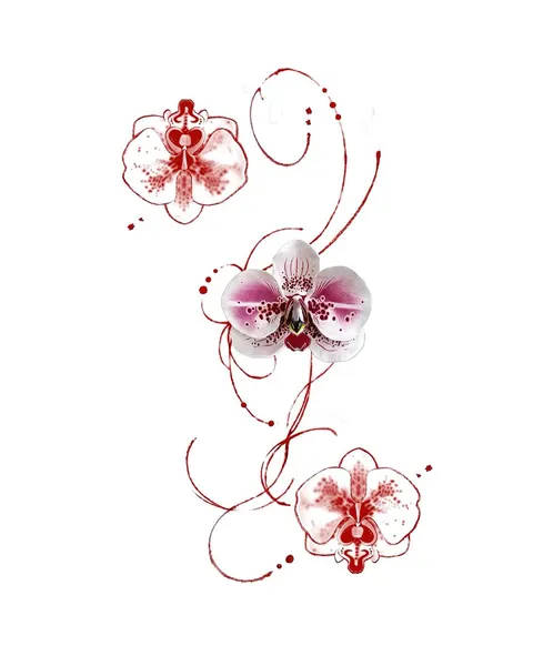 Tattoo_nyang