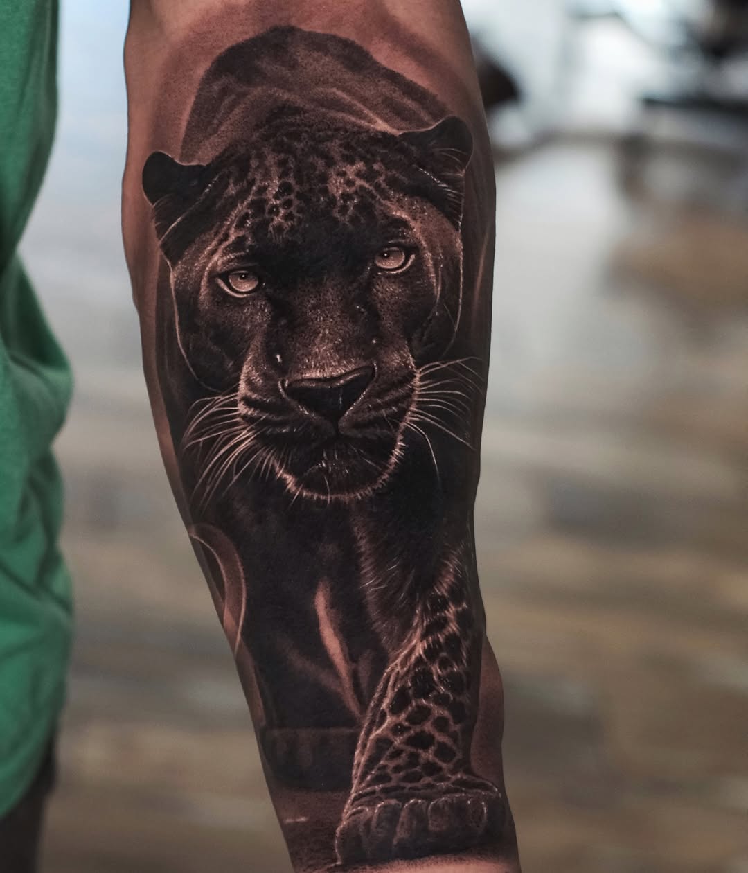 Animal, 재규어, 팬서