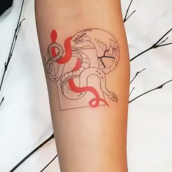 Dragon, 띠, 양자리