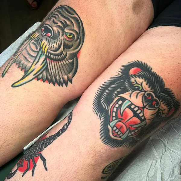 Tiger, Animal