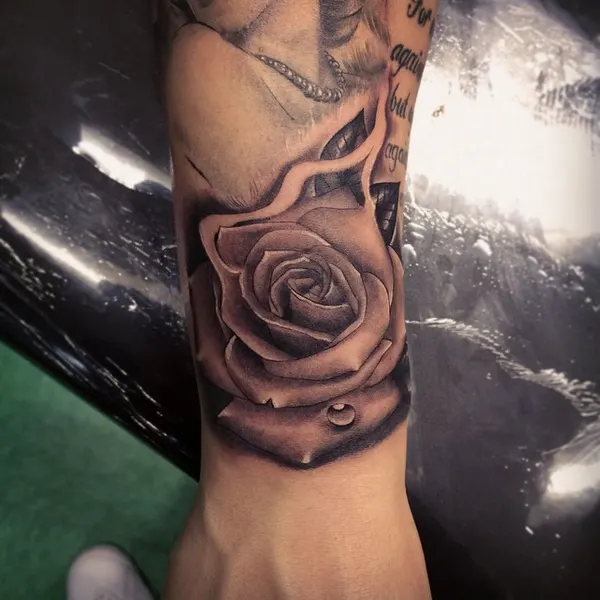 Flower, Rose