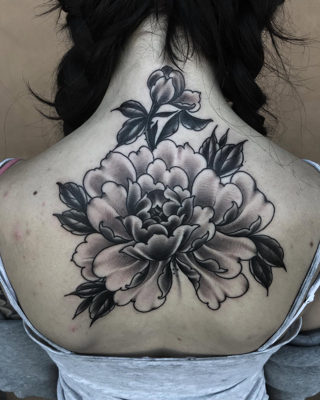 Flower, Rose, Nature, 탄생화, 목련