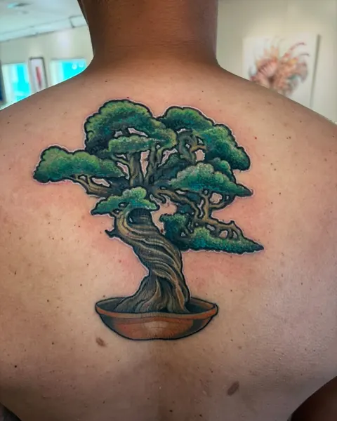 Nature, 버섯, 나무